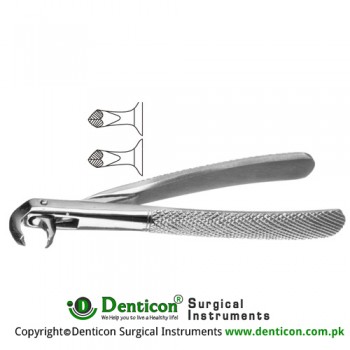 Hawk's Bill English Pattern Tooth Extracting Forcep (Child) Fig. 160 (For Lower Molars) Stainless Steel, Standard